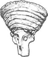 Figure 3 A woman’s head-dress, about 1900 BC. Head from a clay figurine