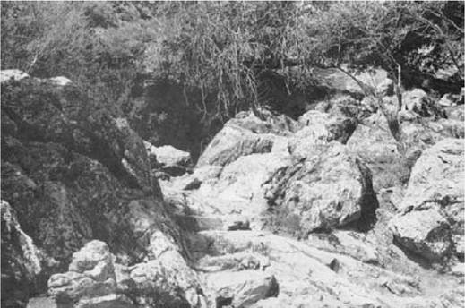 Plate 5 The Square of the Altars at Amnisos