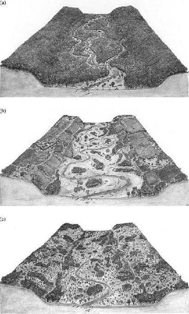 Fig. 13
