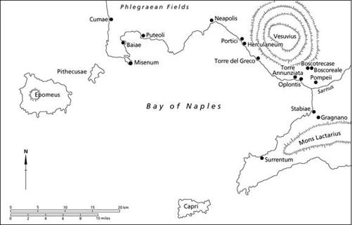 Fig. 20