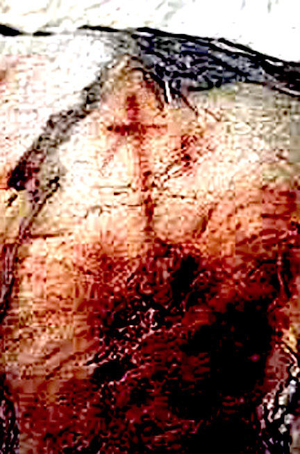 PaleolithicCross1.jpg