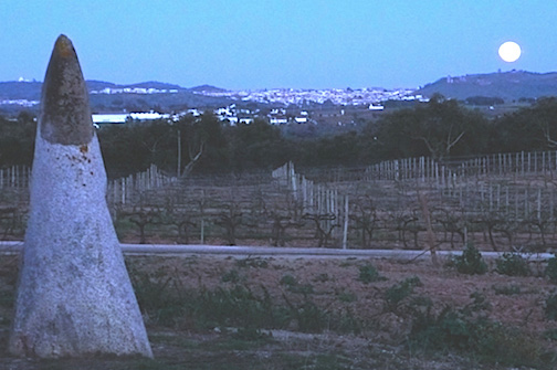 DaSilvaFigure4.jpg
