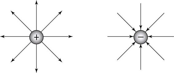 Figure 6-4: The electric field in the space around a positive charge (left) and around a negative charge (right).