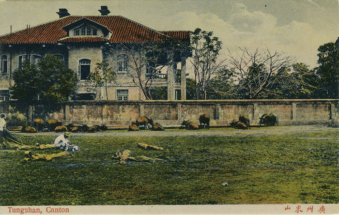 Plate 27