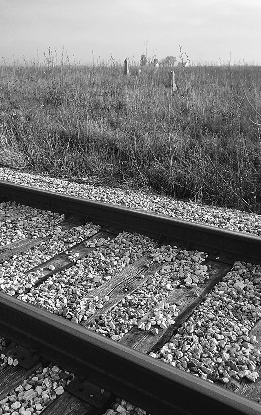 A photo of a section of railroad track in central Illinois. Beyond the tracks, stone grave markers can be seen in the prairie grasses.