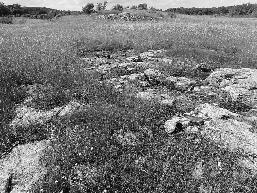 A photo of a low rocky outcrop in a field.