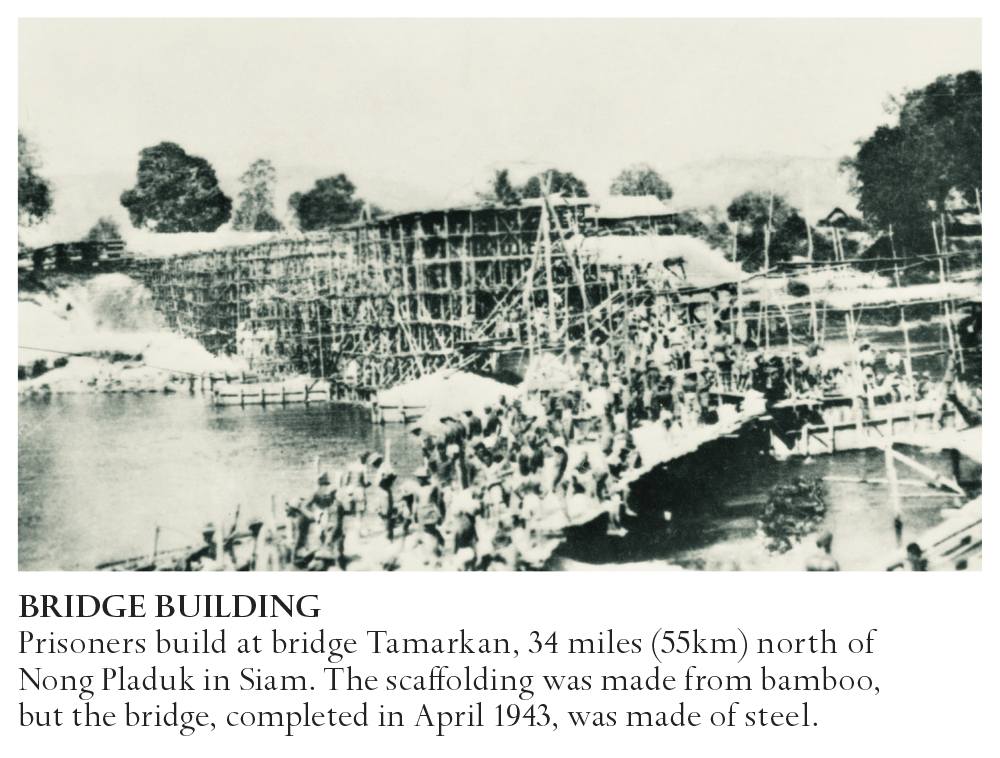 323t_AWM_118879.png