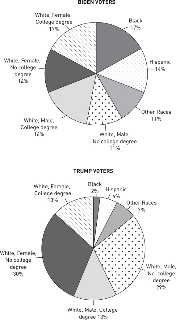 Two pie charts of the social composition of the Biden and Trump voters in 2020.