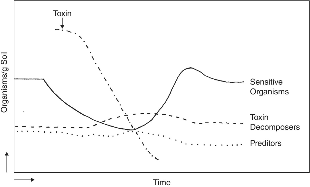 Graph of organisms/soil versus time displaying four curves for toxin, sensitive organisms, toxin decomposers and predators.