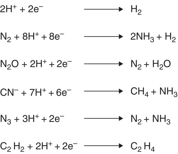 Diagram listing some alternate substrates reduced by the nitrogenase system.