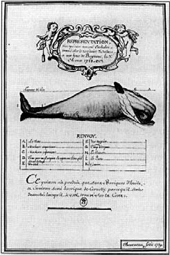 The_Basque_History_of_the_World_ps_0055_001