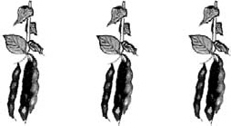 The_Basque_History_of_the_World_ps_0115_001