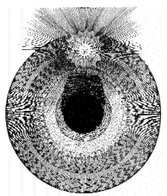 029