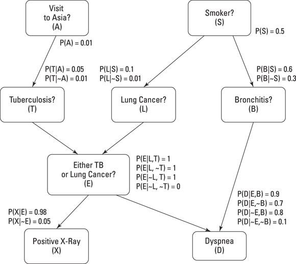 Schematic illustration of a Bayesian network can support a medical decision.