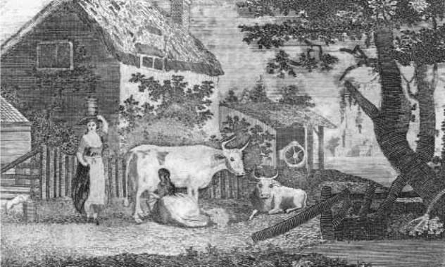 Cattle on a Massachusetts Farm. This illustration from the 1790s accompanied a story titled "Maria: A Sentimental Fragment,” set on a Massachusetts farm.