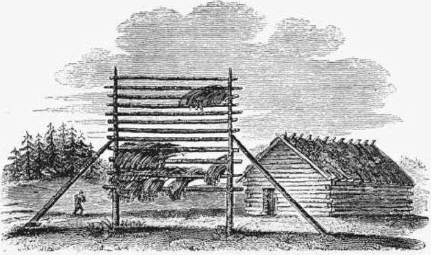 Swedish Log Cabin. The first American log cabins were modeled after the simple log homes of Scandinavian peasants. This engraving from 1824 shows a cabin built by Swedish immigrants to the New World. The wooden rack in the foreground was used to dry corn.