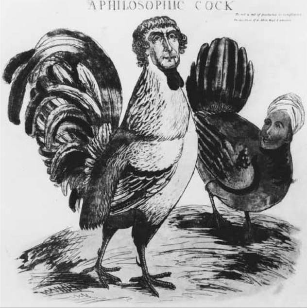 A Philosophic Cock (c. 1804). In this satirical cartoon by James Akin, President Thomas Jefferson appears as a rooster courting a hen with the face of Sally Hemings, one of Jefferson's slaves. Jefferson's political opponents sought to weaken his presidency with charges of promiscuity and interracial sex. courtesy, American antiquarian society.