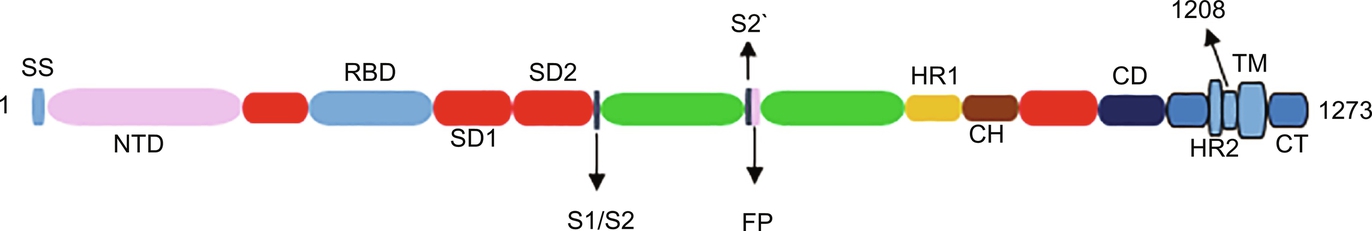 Fig. 5