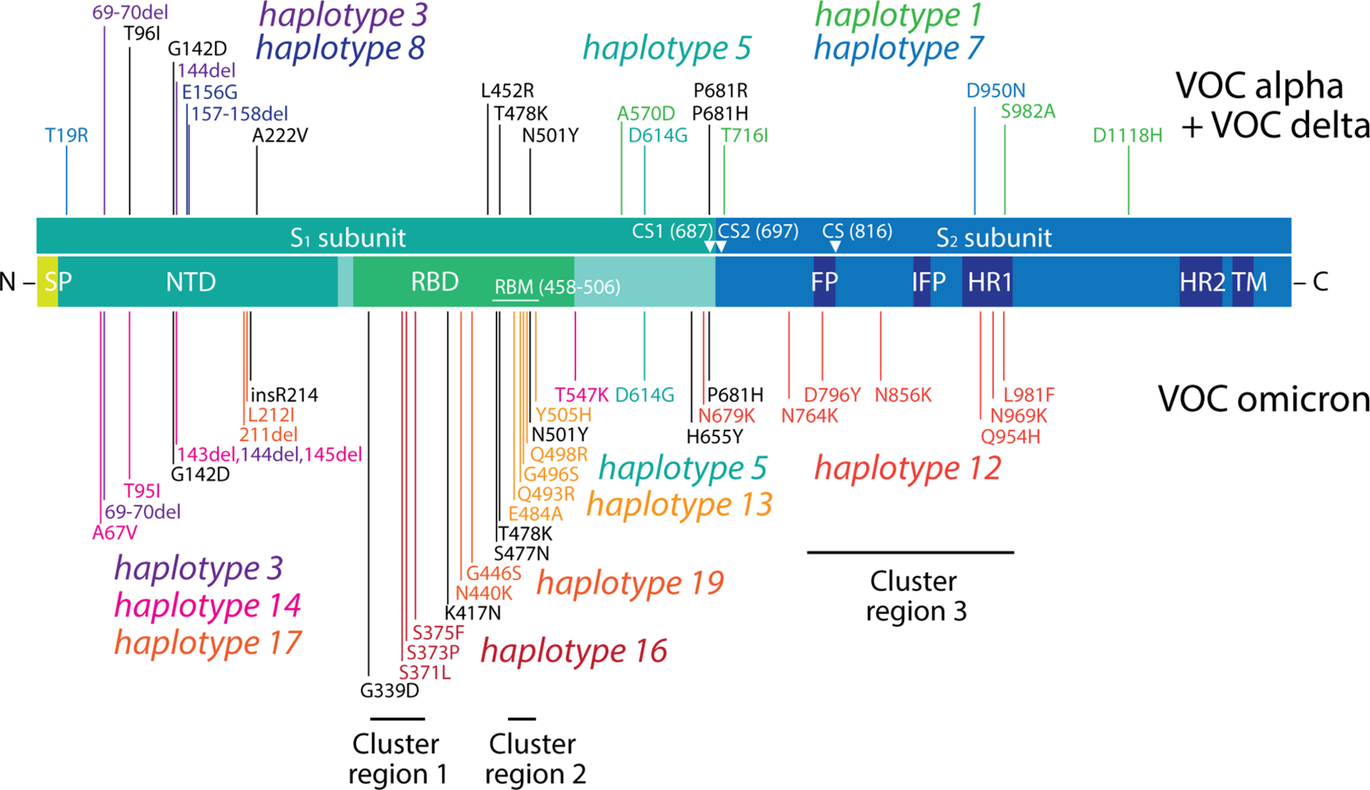 Fig. 7