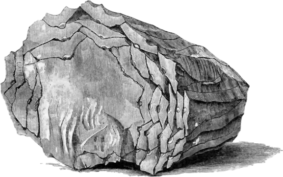 Line drawing of a modern prismatic blade core refitted to show how it was made.