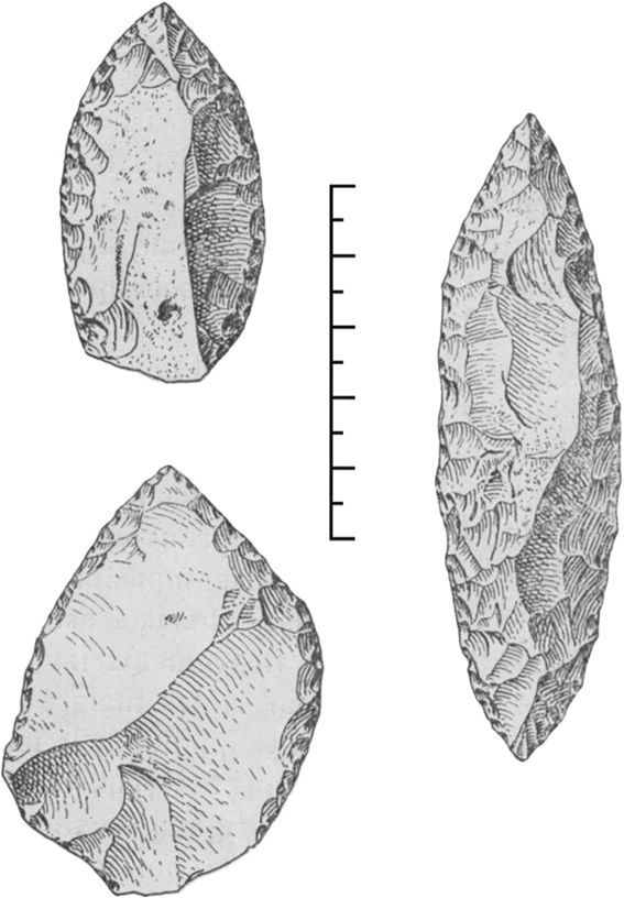 Line drawing of some small flake tools.