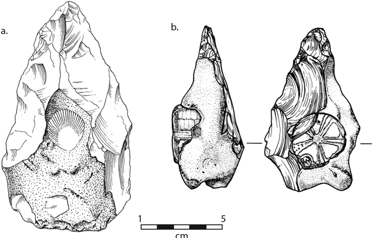 Drawings of two habdaxes with fossils carfully preserved on their faces.