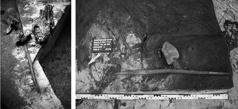 A picture showing awooden spear alongside a horses skull, and a 1m long double pointed stick