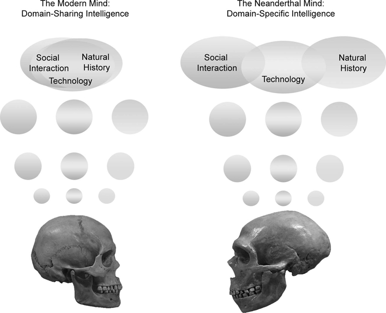 Diagram showing Neanderthal and Modern skulls, with thought bubbles showing the isolation or inter-connectedness of the domains of technical, social and natural history intelligence.
