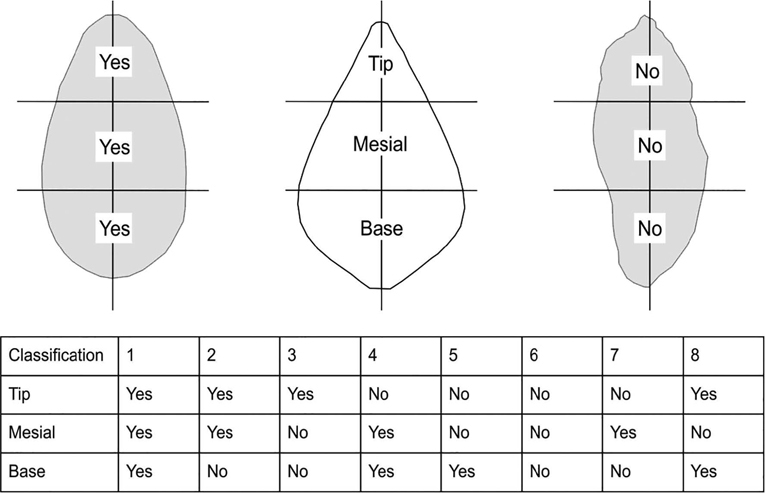 Diagram showing different handaxes divided into six areas for the eye-ball test.