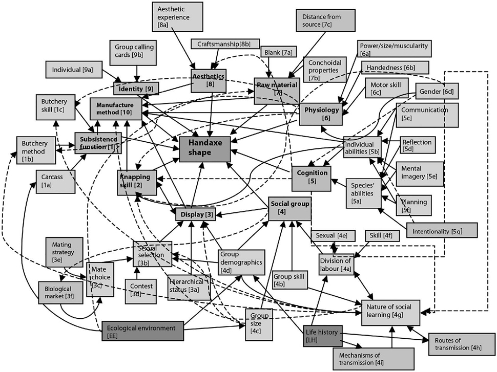 A flowchart showing some 50 factors that could affect the shape of a stone tool &ndash; like Palaeolithic spaghetti and meatballs.
