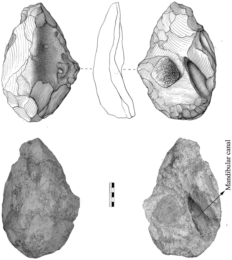 Photograph and drawing of an oval bone handaxe from China