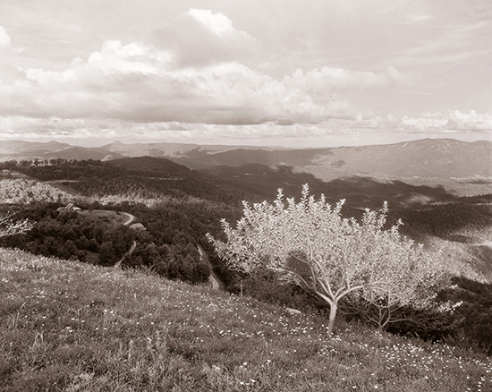 Images