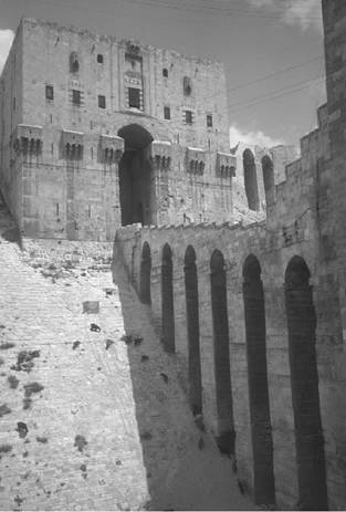 Main entrance to the citadel of Aleppo. (Corel)