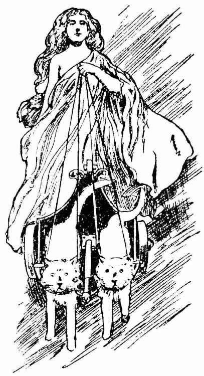 [Illustration]