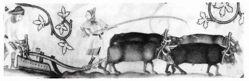 image 43