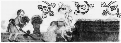 image 46