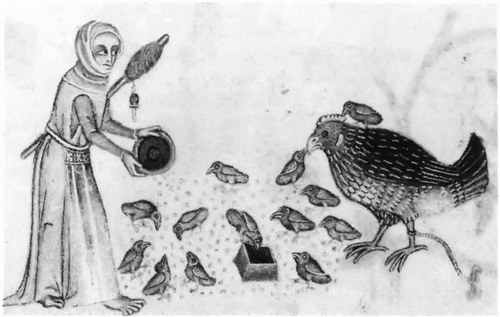 image 51