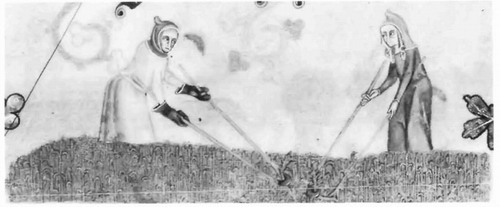 image 53