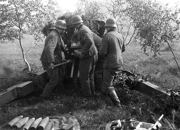 Изображение выглядит как трава, внешний, дерево, человек