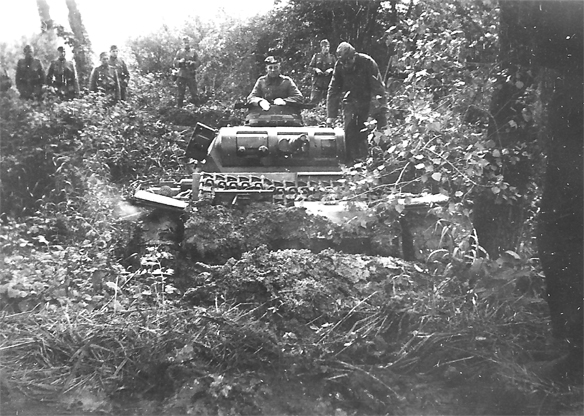 Изображение выглядит как внешний, дерево, трава, старый