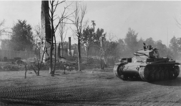 Изображение выглядит как внешний, дерево, небо, земля