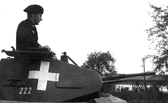 Изображение выглядит как внешний, небо, плоский, дерево