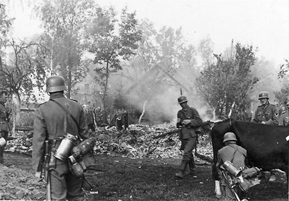 Изображение выглядит как внешний, дерево, человек, старый