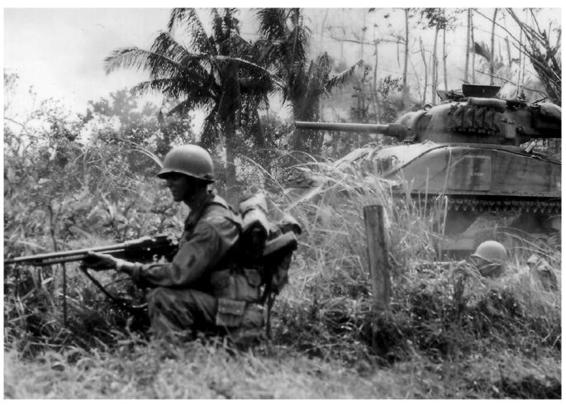 Изображение выглядит как внешний, трава, дерево