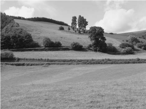 0278_line_01