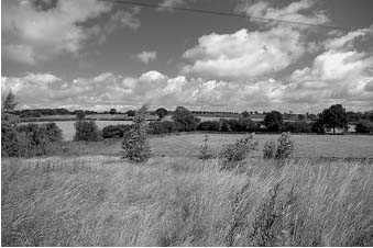 0278_line_01