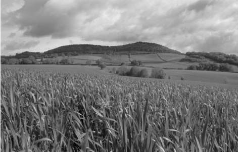 0278_line_01